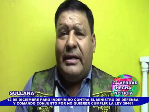 Paro Nacional 12 de Diciembre en Perú: ¿Cómo afecta a los trámites y servicios gubernamentales?