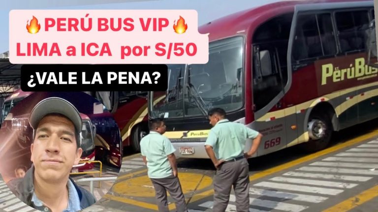 Todo lo que necesitas saber sobre el pasaje de Lima a Pisco: horarios, tarifas y trámites en Perú