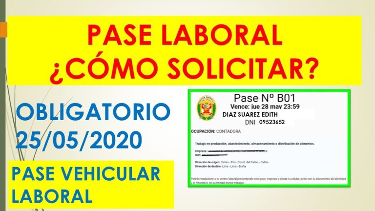 Guía completa para realizar la consulta de pase laboral en Perú: ¡Obtén tu permiso fácilmente!