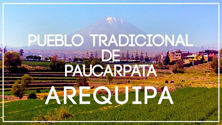 Todo lo que necesitas saber sobre Paucarpata Arequipa: Trámites y servicios en Perú
