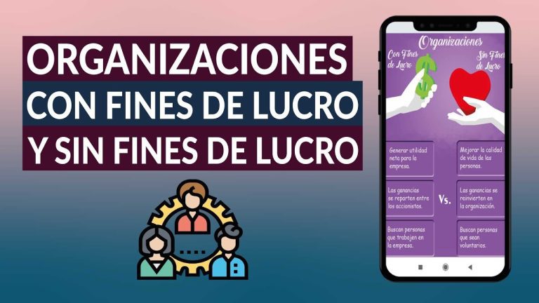 Guía completa para entender la diferencia entre organizaciones con fines de lucro y sin fines de lucro en Perú