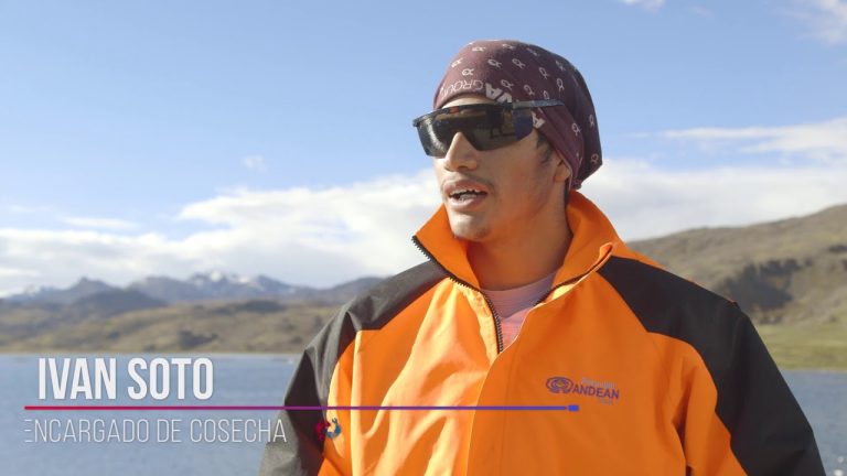 Todo lo que necesitas saber sobre el proceso para obtener el permiso de pesca de trucha andina en Perú