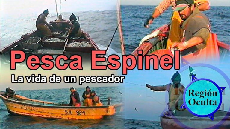Descubre los Trámites Necesarios para Ser Pescador Artesanal en Perú: Guía Completa
