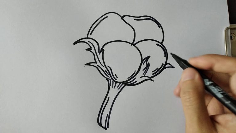Descubre cómo dibujar una planta de algodón: ¡Guía paso a paso para artistas en Perú!
