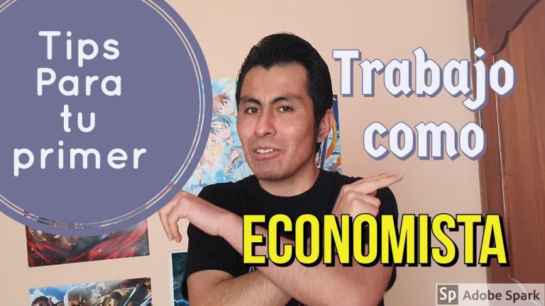Guía completa para ser un practicante de economía en Perú: trámites, requisitos y consejos