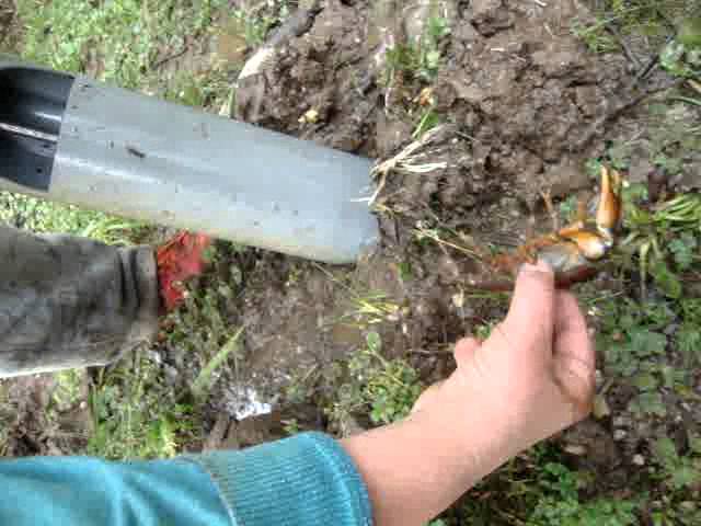 Descubre cómo obtener el primer extractor de camarones en Perú: Trámites al alcance de tu mano