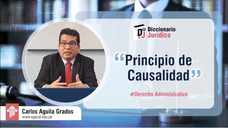 Descubre los Principios de Causalidad con Ejemplos Relevantes en el Contexto Legal en Perú