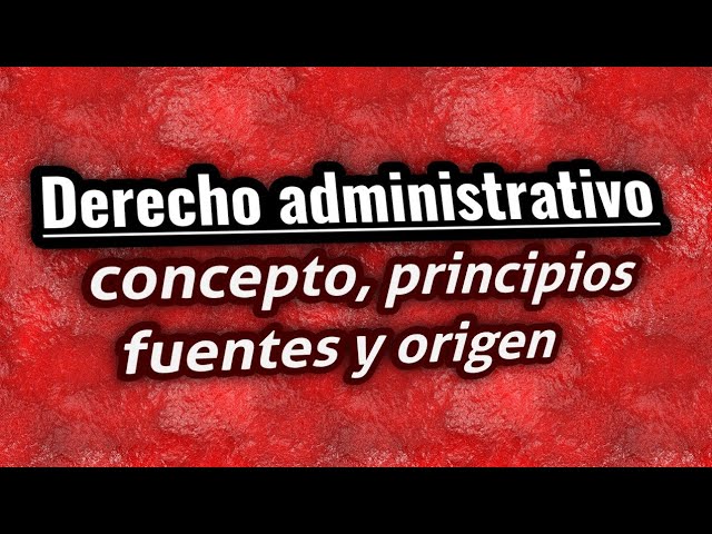 Principios de Derecho Administrativo en Perú: Todo lo que necesitas saber para realizar trámites con éxito