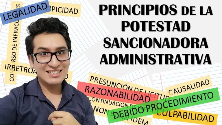 Principios del Procedimiento Administrativo Sancionador en Perú: Todo lo que debes saber para realizar trámites con éxito