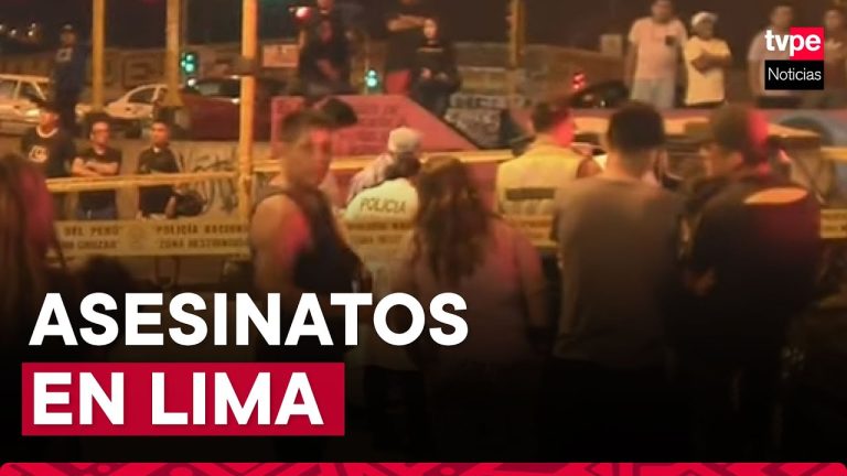 Trámites en Puente Piedra, Lima: Todo lo que necesitas saber para gestionar tus documentos en esta zona de la ciudad