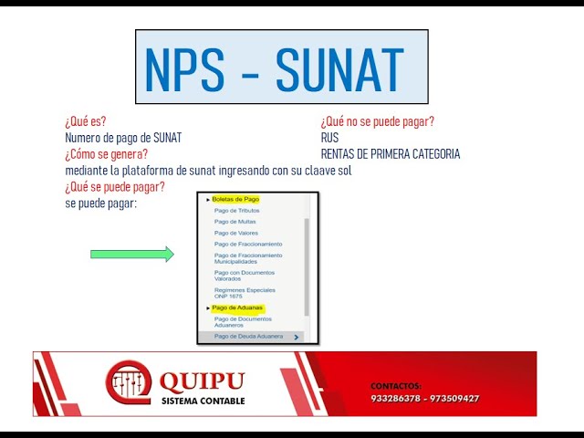 Guía completa: ¿Qué es el NPS de la Sunat y cómo obtenerlo en Perú?