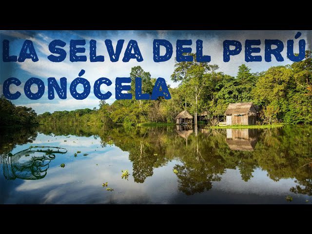 Descubre todo sobre la mágica región Selva del Perú: trámites y consejos