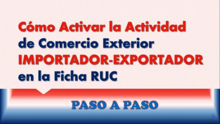 Todo lo que debes saber sobre el RUC de importador en Perú: requisitos, trámites y más