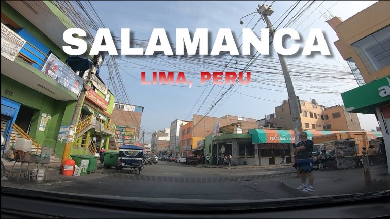 Guía completa para realizar trámites en Salamanca Monterrico: Todo lo que necesitas saber en Perú
