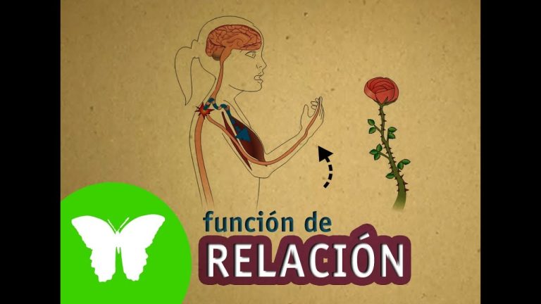 Descubre el Mejor Sistema de Relacionamiento para Optimizar tus Trámites en Perú