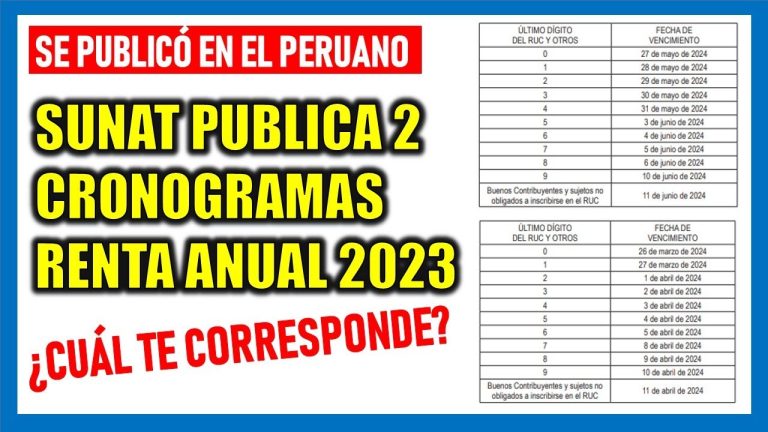 Guía completa: Cronograma de declaraciones SUNAT 2022 en Perú ¡No te pierdas ninguna fecha clave!