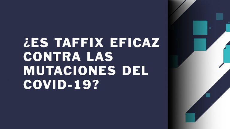 Todo lo que necesitas saber sobre Taffix en Perú: Trámites, requisitos y más