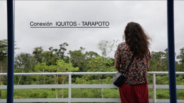 Todo lo que necesitas saber sobre el recorrido de Tarapoto a Iquitos: trámites imprescindibles en Perú