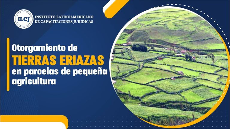 Guía completa para solicitar el cambio de uso de tierras eriazas en Perú: trámites indispensables explicados paso a paso