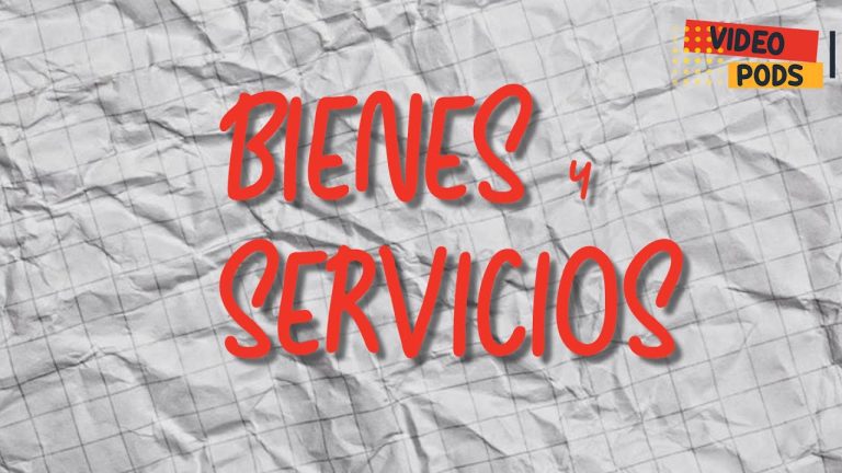 Todo lo que necesitas saber sobre bienes y servicios: Guía completa para trámites en Perú