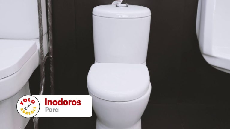 Descubre los diferentes tipos de inodoros para tu hogar en Perú: guía completa