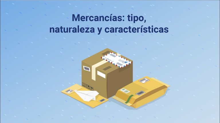 Descubre los tipos de mercancías y sus trámites en Perú: Guía completa