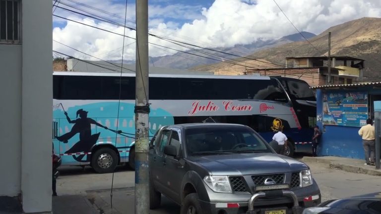 Guía completa sobre el transporte con RUC de Julio César: Trámites y requisitos en Perú