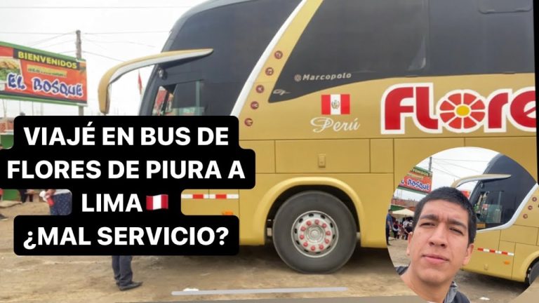 Todo lo que debes saber sobre los transportes de flores en Piura: guía completa de trámites en Perú
