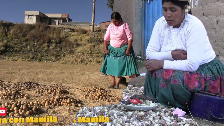 Trámites en Perú: Todo lo que necesitas saber sobre la tunta y su importancia