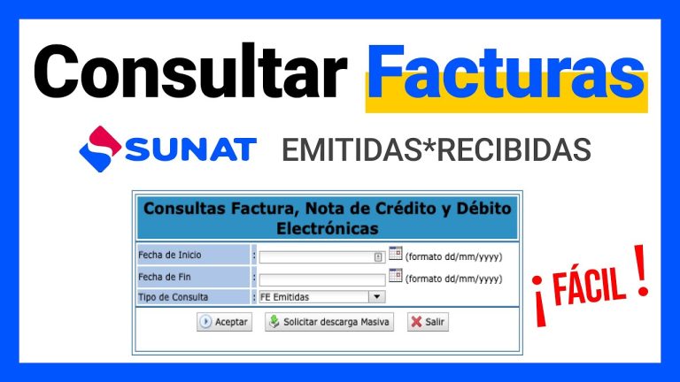 Todo sobre la factura electrónica en www.tottus.com.pe: Trámites rápidos en Perú