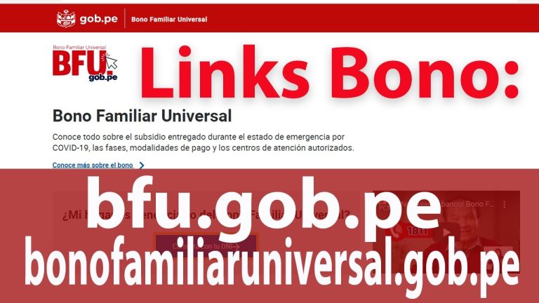 Todo lo que necesitas saber sobre el link bfu.gob.pe para realizar trámites en Perú