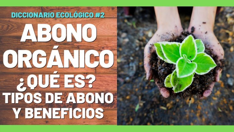 Descubre cómo el abono orgánico puede transformar tus cultivos en Perú: Guía completa