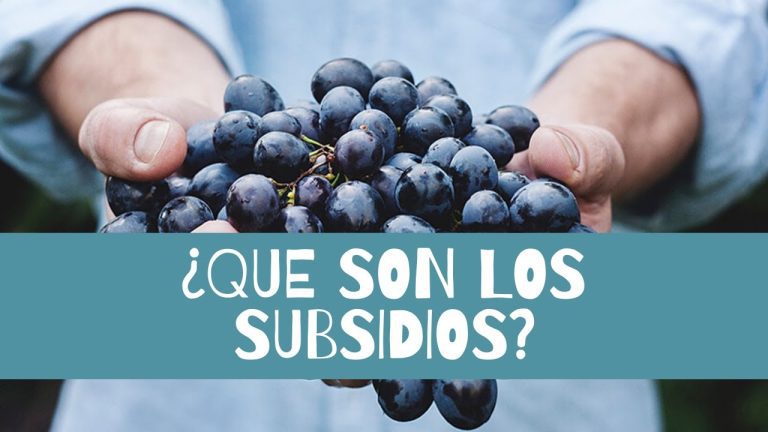 ¿Qué es subsidiar? Descubre su definición y su relevancia en los trámites en Perú